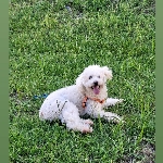 Foto de perfil de agustin migotti