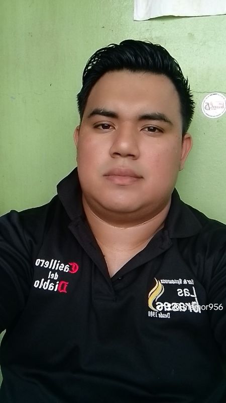 Bayardo De Jesús Palacios Silva profile photo