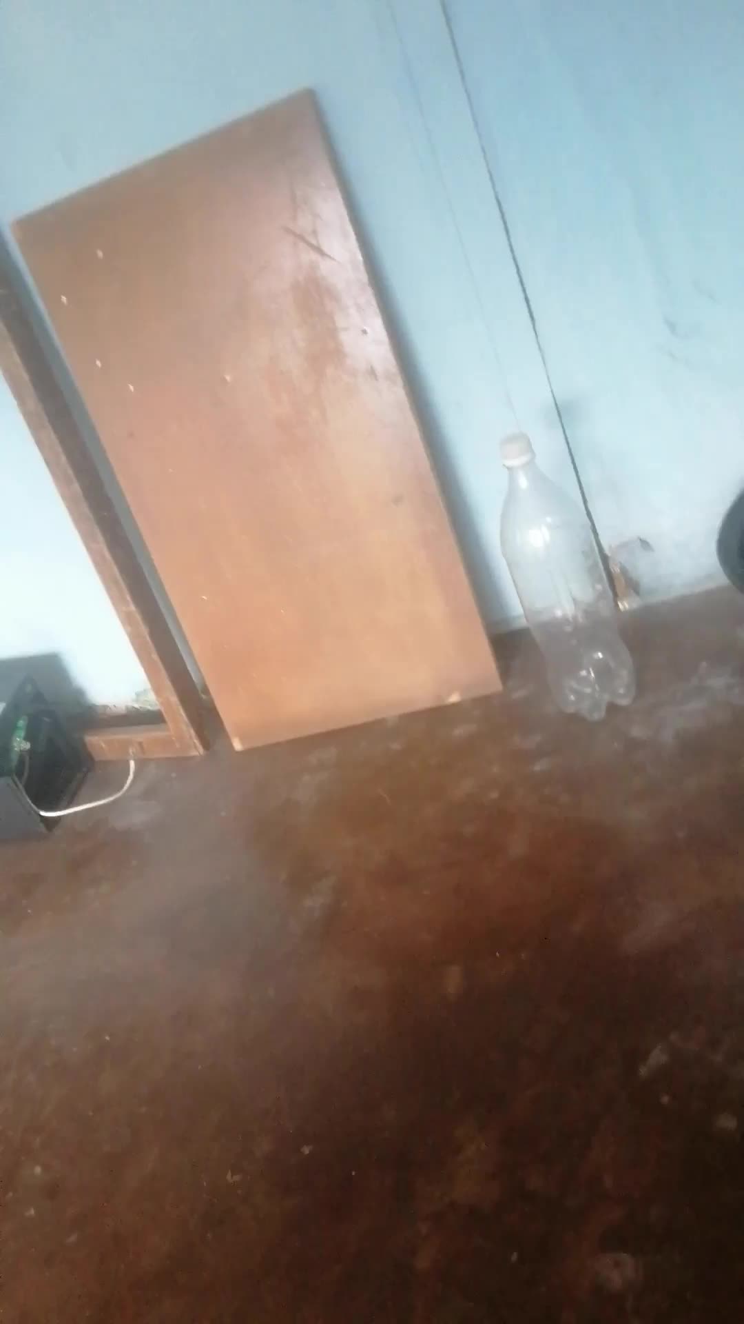 Migdalia Marisela video thumbnail