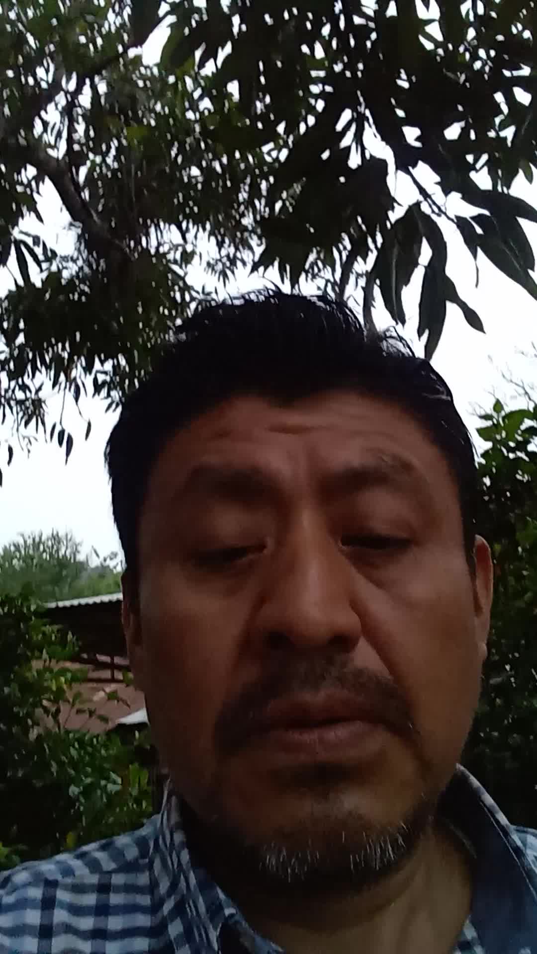 Crisoforo dionisio martinez video thumbnail