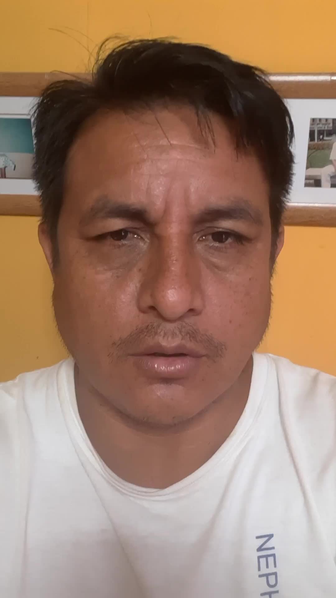 Pedro video thumbnail