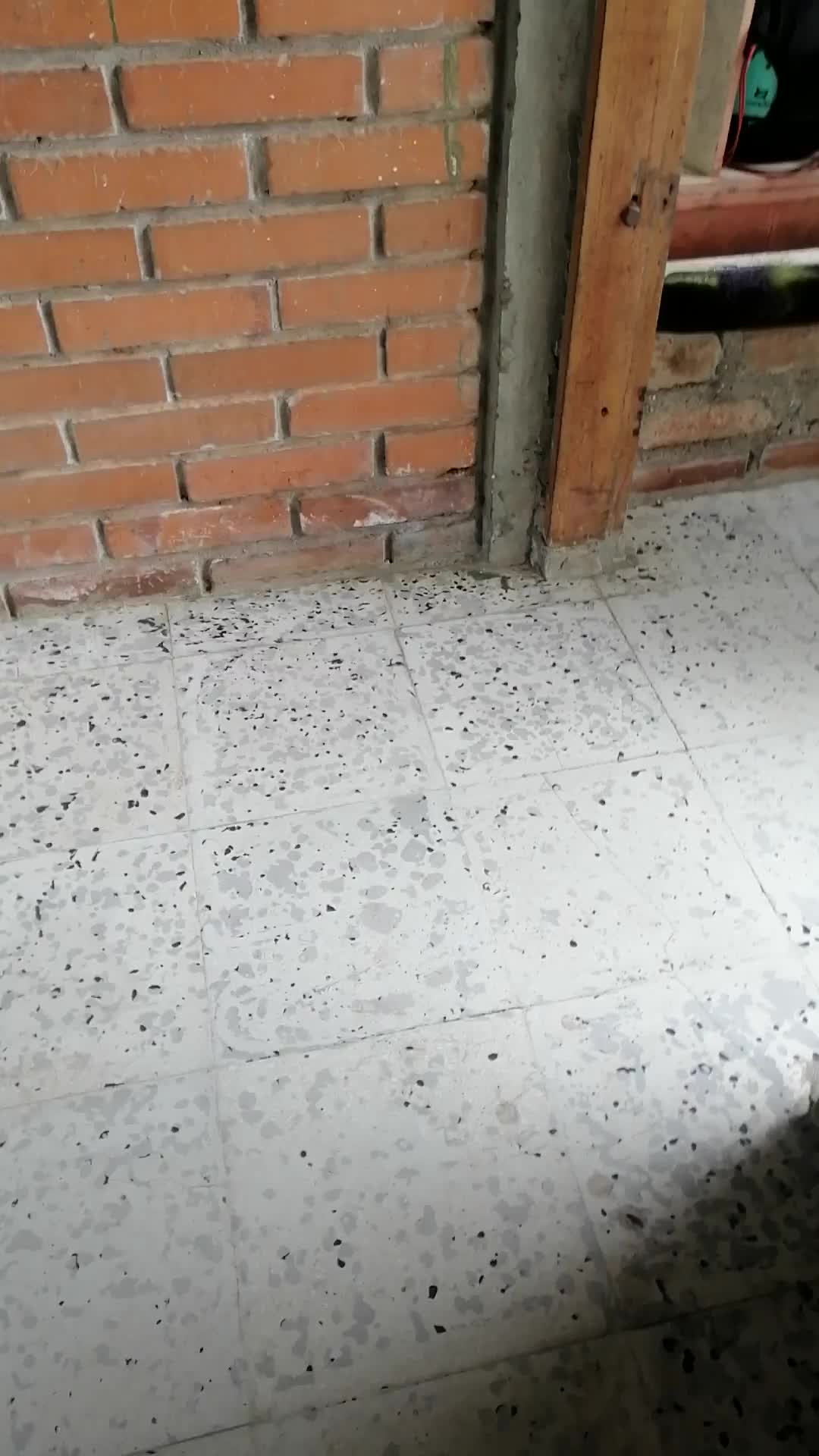 Alejandro muneraosorno video thumbnail