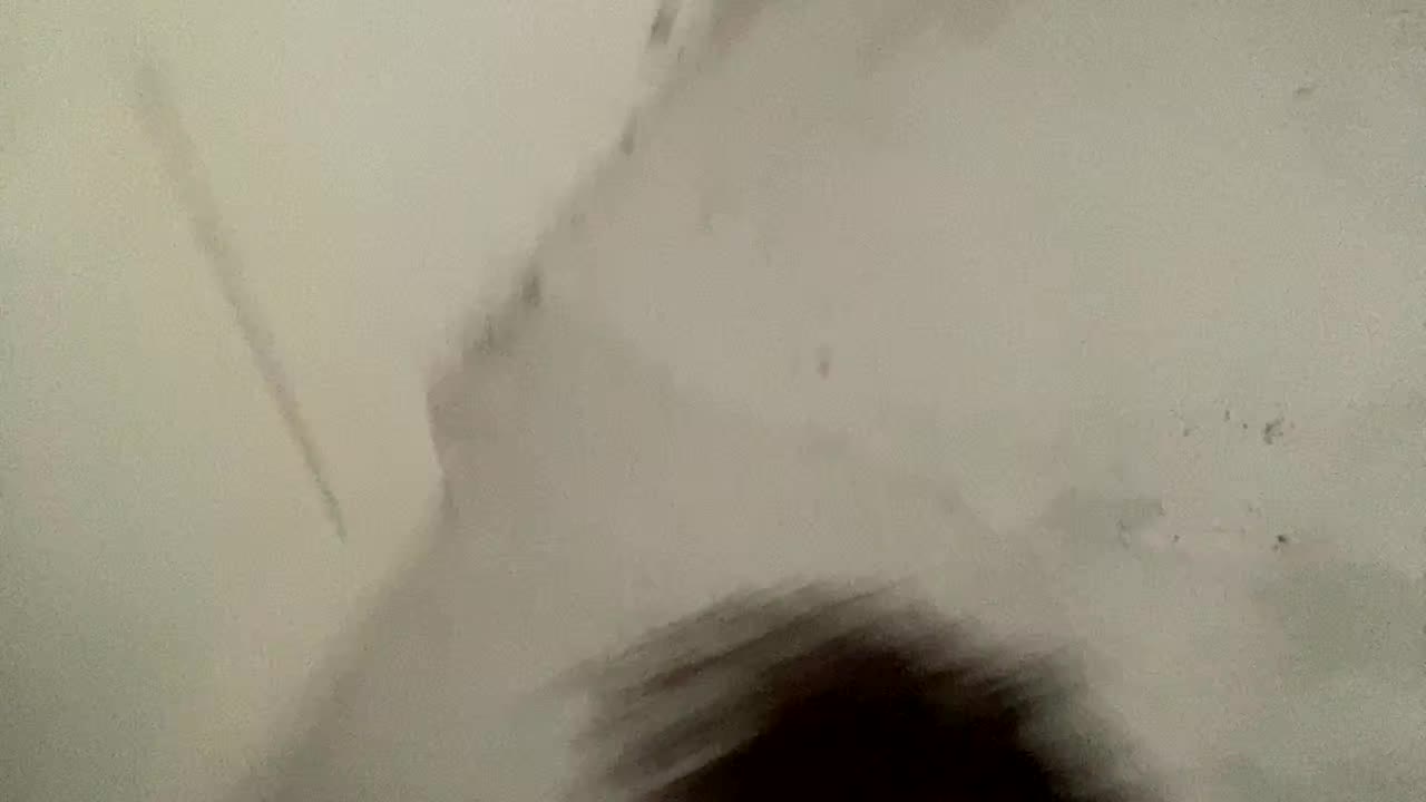 yenny candidate video thumbnail